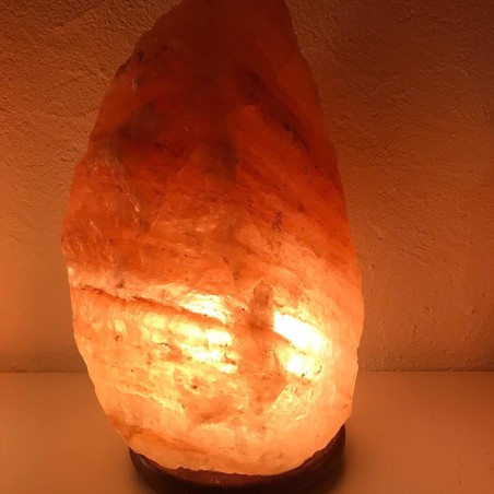 lampe de sel de l'himalaya 7 à 10 kg - Equit Zen